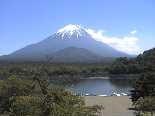 精進湖からの富士山