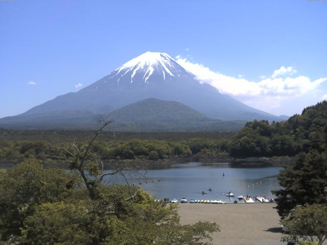 精進湖からの富士山