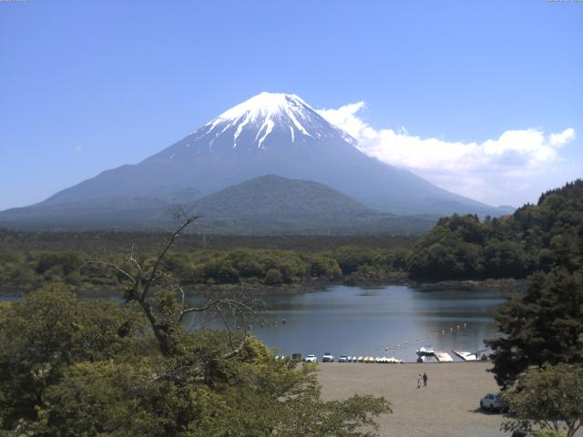 精進湖からの富士山