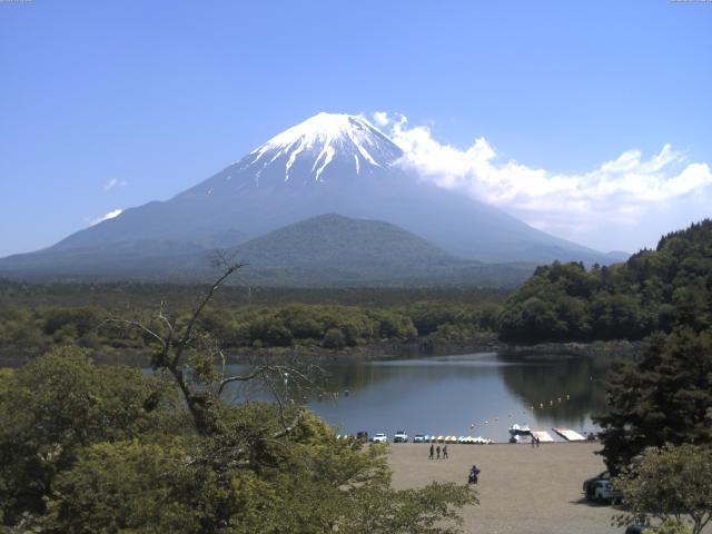 精進湖からの富士山