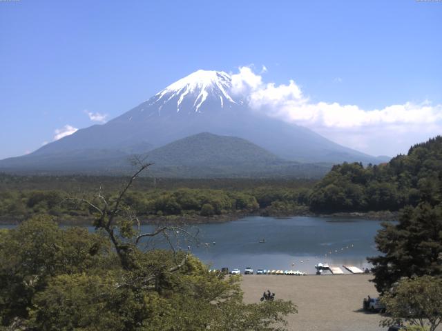 精進湖からの富士山