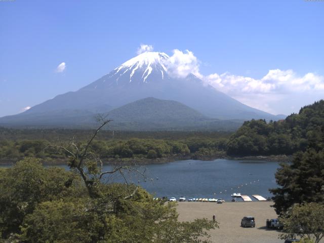 精進湖からの富士山