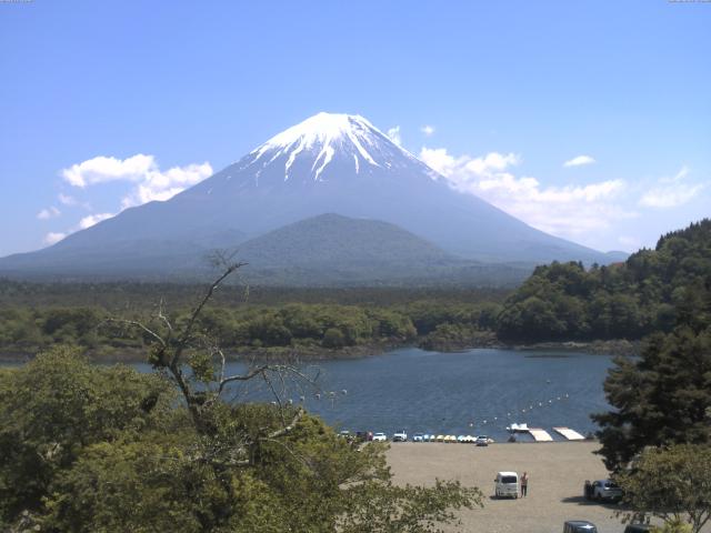 精進湖からの富士山