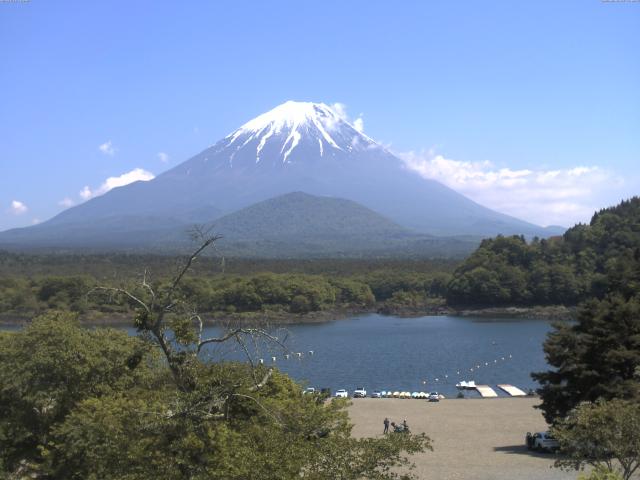 精進湖からの富士山
