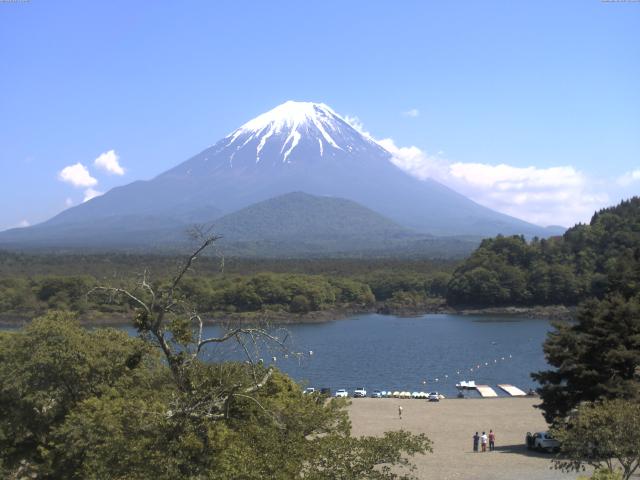 精進湖からの富士山