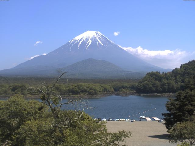 精進湖からの富士山