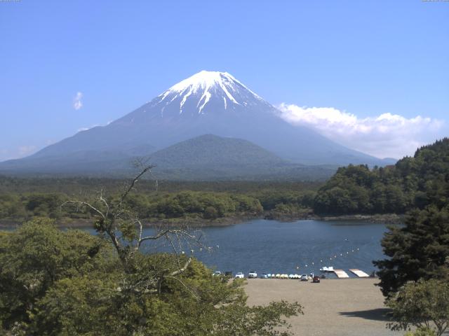 精進湖からの富士山