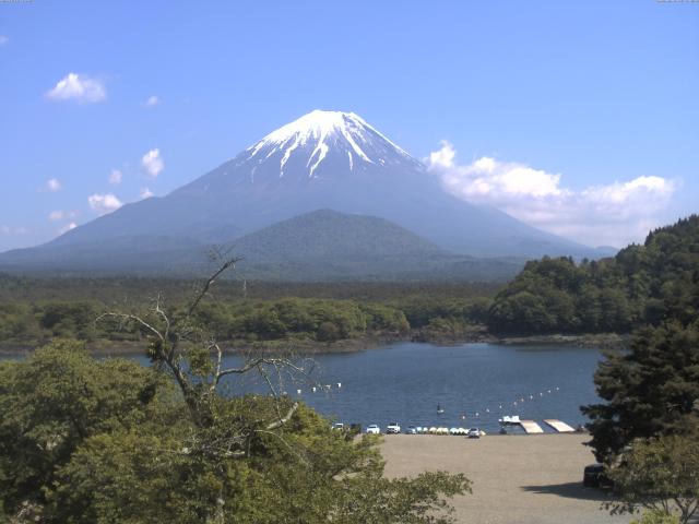 精進湖からの富士山