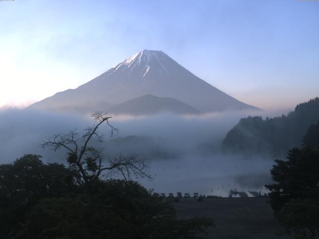 精進湖からの富士山