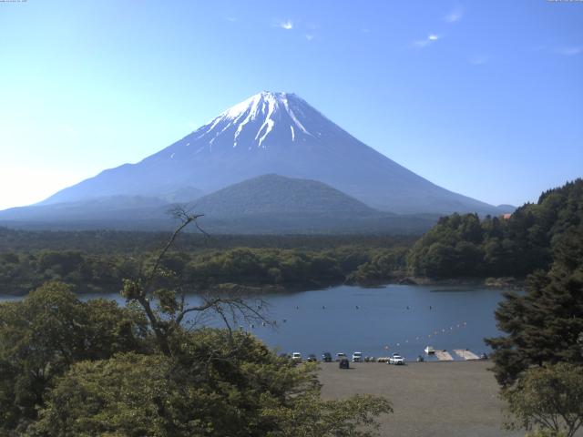 精進湖からの富士山