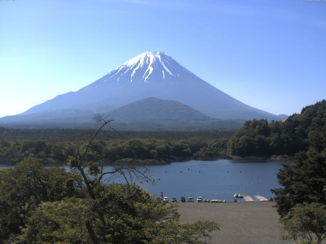 精進湖からの富士山