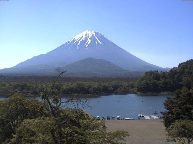 精進湖からの富士山