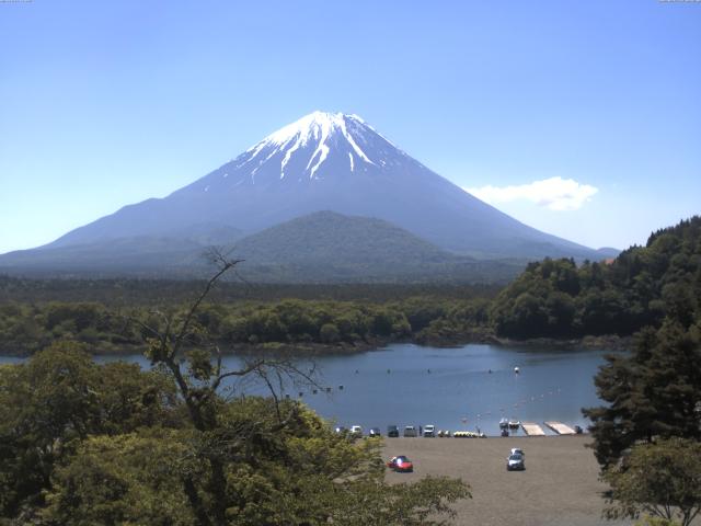 精進湖からの富士山
