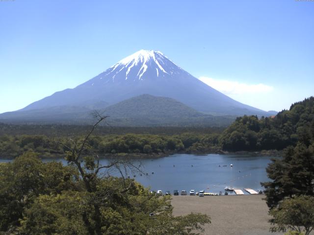 精進湖からの富士山
