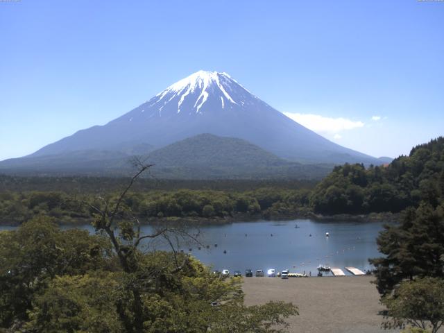精進湖からの富士山