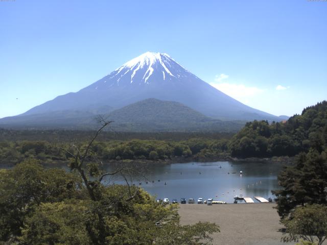 精進湖からの富士山