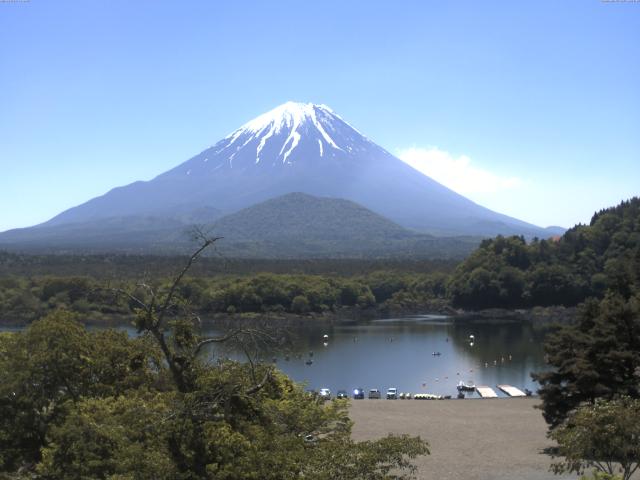 精進湖からの富士山