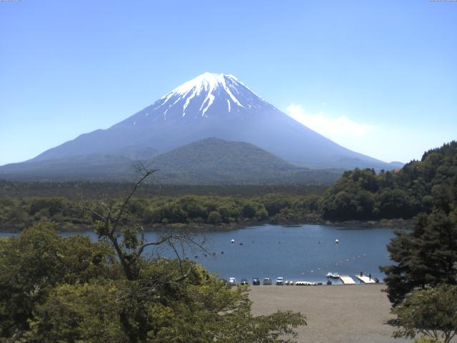 精進湖からの富士山
