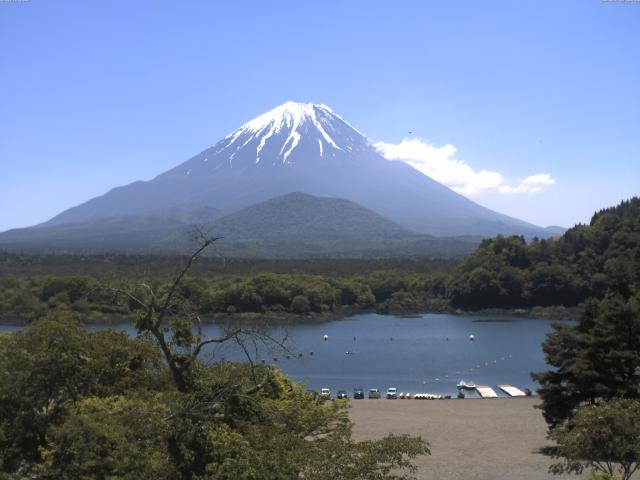 精進湖からの富士山