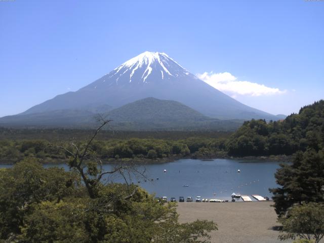 精進湖からの富士山