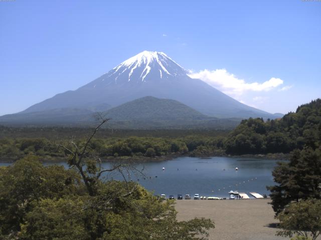 精進湖からの富士山