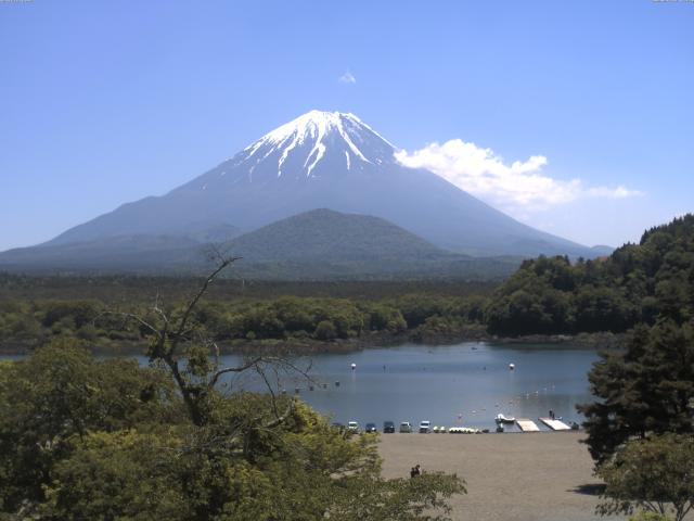 精進湖からの富士山