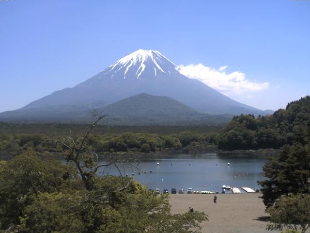 精進湖からの富士山