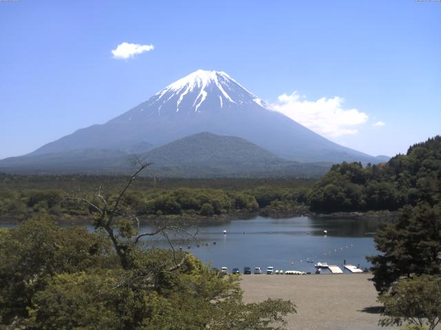 精進湖からの富士山