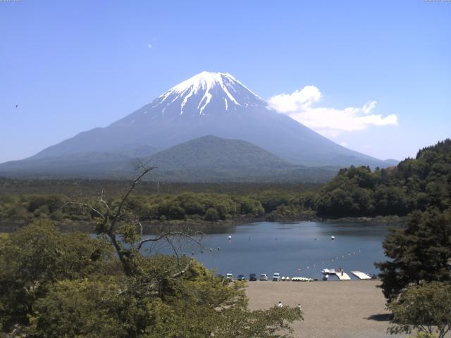 精進湖からの富士山