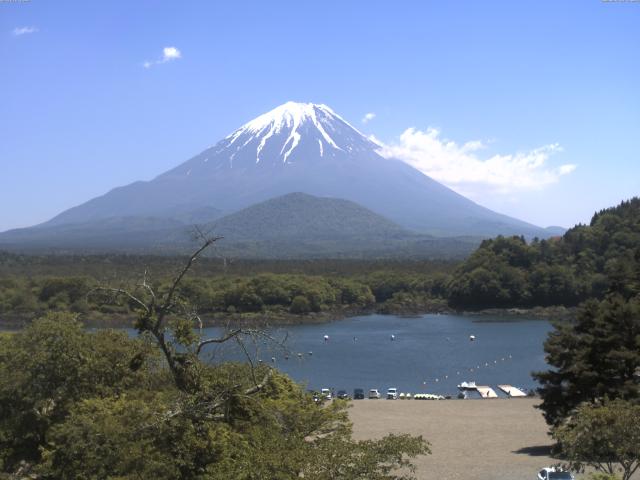 精進湖からの富士山