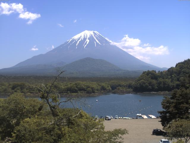 精進湖からの富士山