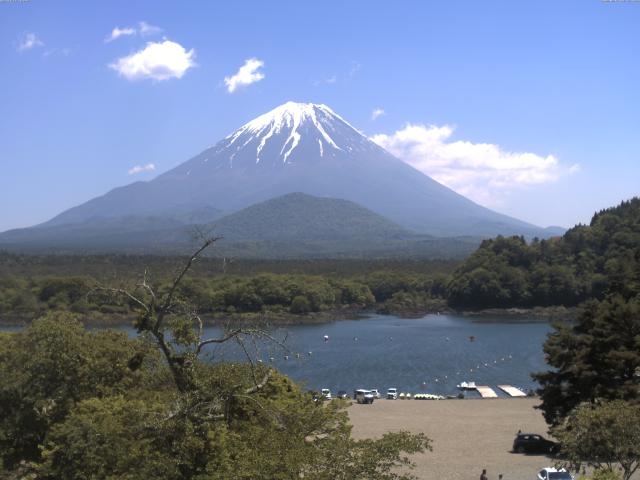 精進湖からの富士山