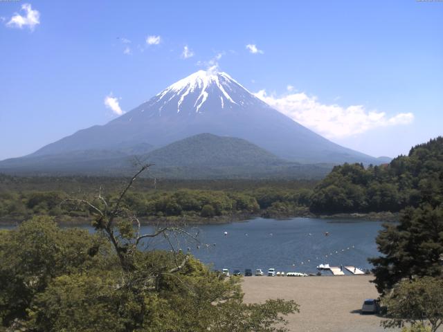 精進湖からの富士山