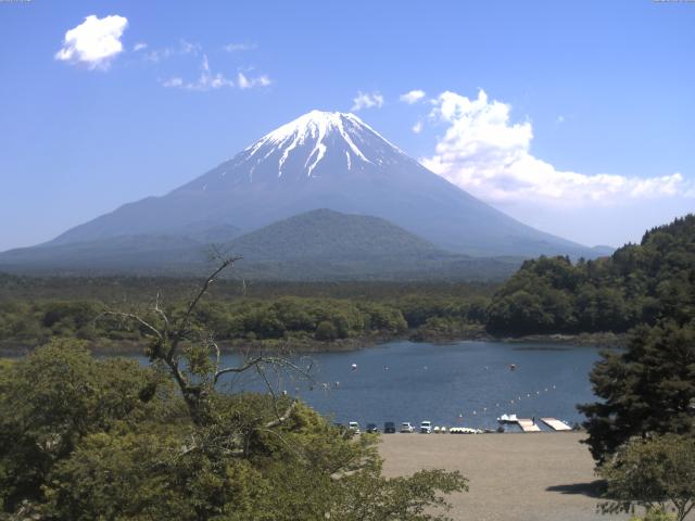 精進湖からの富士山