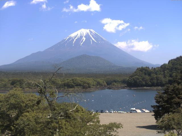 精進湖からの富士山