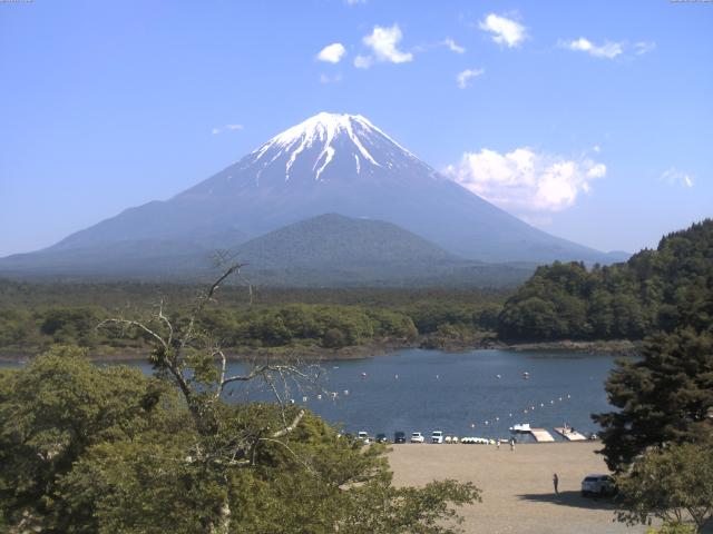 精進湖からの富士山