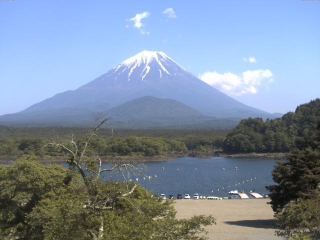 精進湖からの富士山