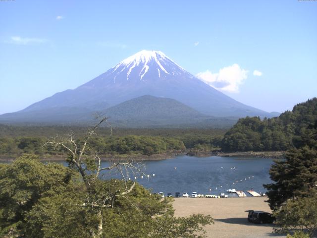 精進湖からの富士山