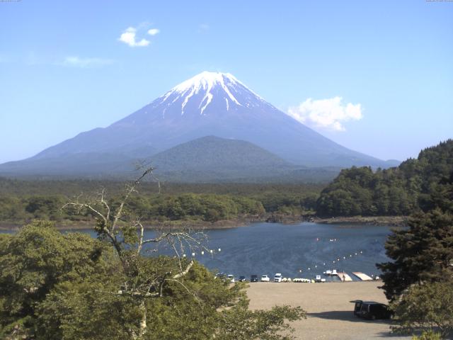 精進湖からの富士山