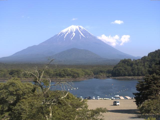 精進湖からの富士山