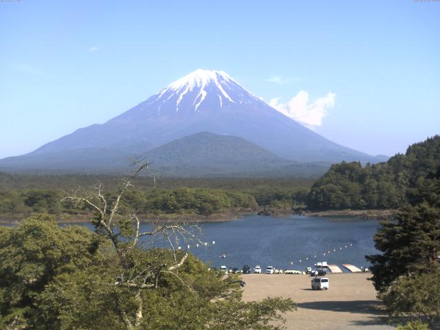 精進湖からの富士山