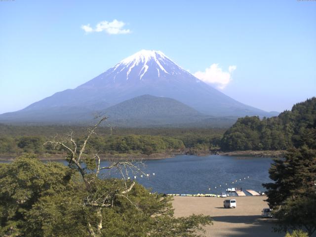 精進湖からの富士山