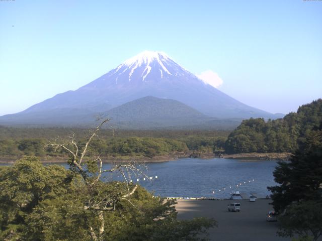 精進湖からの富士山