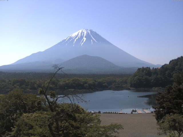 精進湖からの富士山