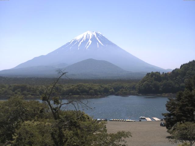 精進湖からの富士山