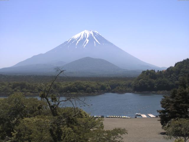 精進湖からの富士山