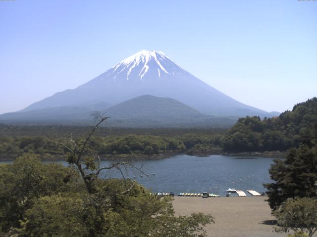 精進湖からの富士山