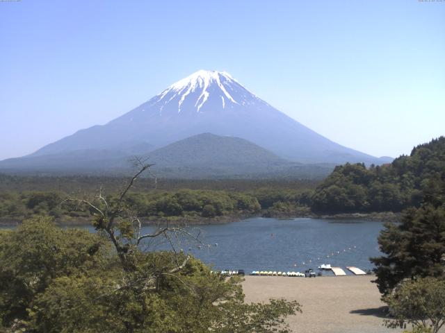 精進湖からの富士山