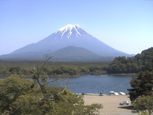 精進湖からの富士山