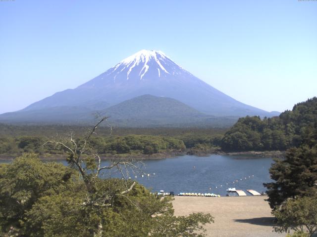 精進湖からの富士山